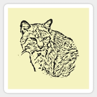 Lynx Magnet